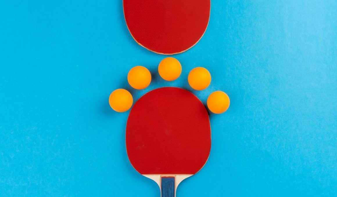 Piłeczki do tenisa stołowego Nittaku